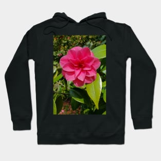 Camellia Hoodie